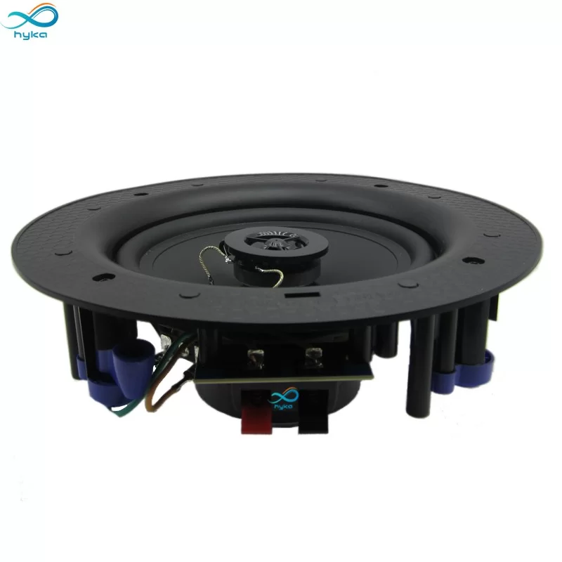 بلندگو-40وات-بغل-