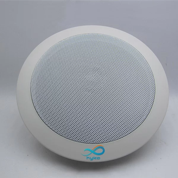 بلندگوی سقفی بلوتوث دار 30 وات رمز دار