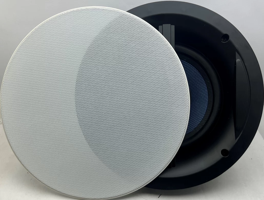 speaker100w3-1030x781